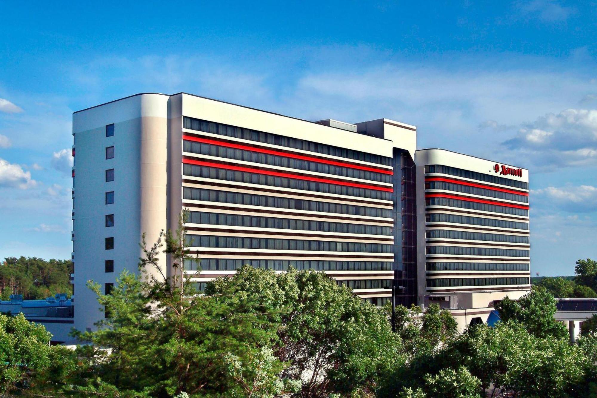 Bwi Airport Marriott Hotel Linthicum