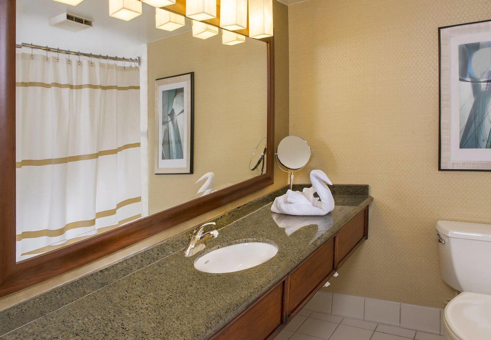Hotel Bwi Airport Marriott Linthicum